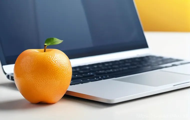 배구 코트 규격 - 43 meters for men's play). The 3-meter attacking line and the middle line are sharply defined on a p...