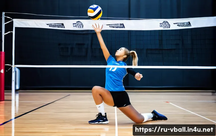 배구 훈련 소모품 관련 이미지 1