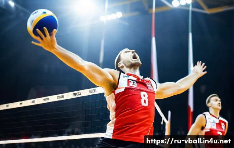 배구 리그 별 특징 관련 이미지 1