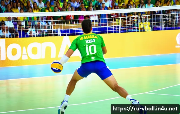 배구 리그 별 특징 관련 이미지 2