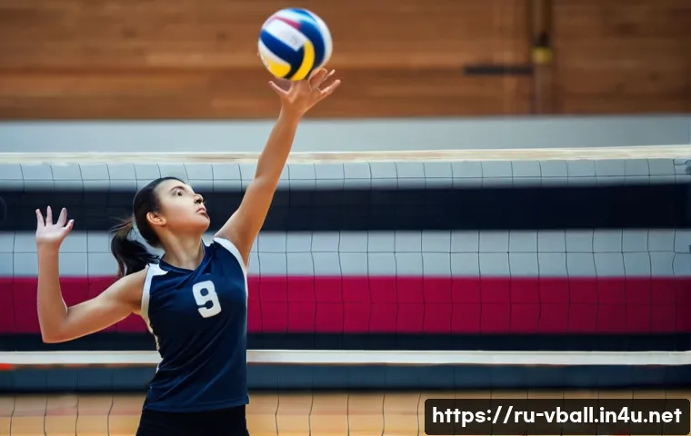 배구 관련 온라인 강의 관련 이미지 1